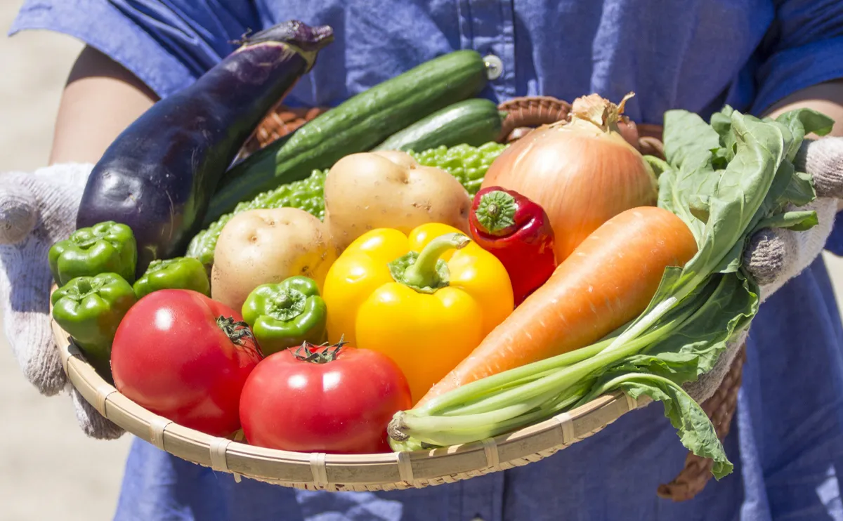 野菜や果物の食品小ロットOEMなら食品OEM.com