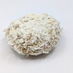 PXL_20260415_114652568.PORTRAIT.ORIGINAL