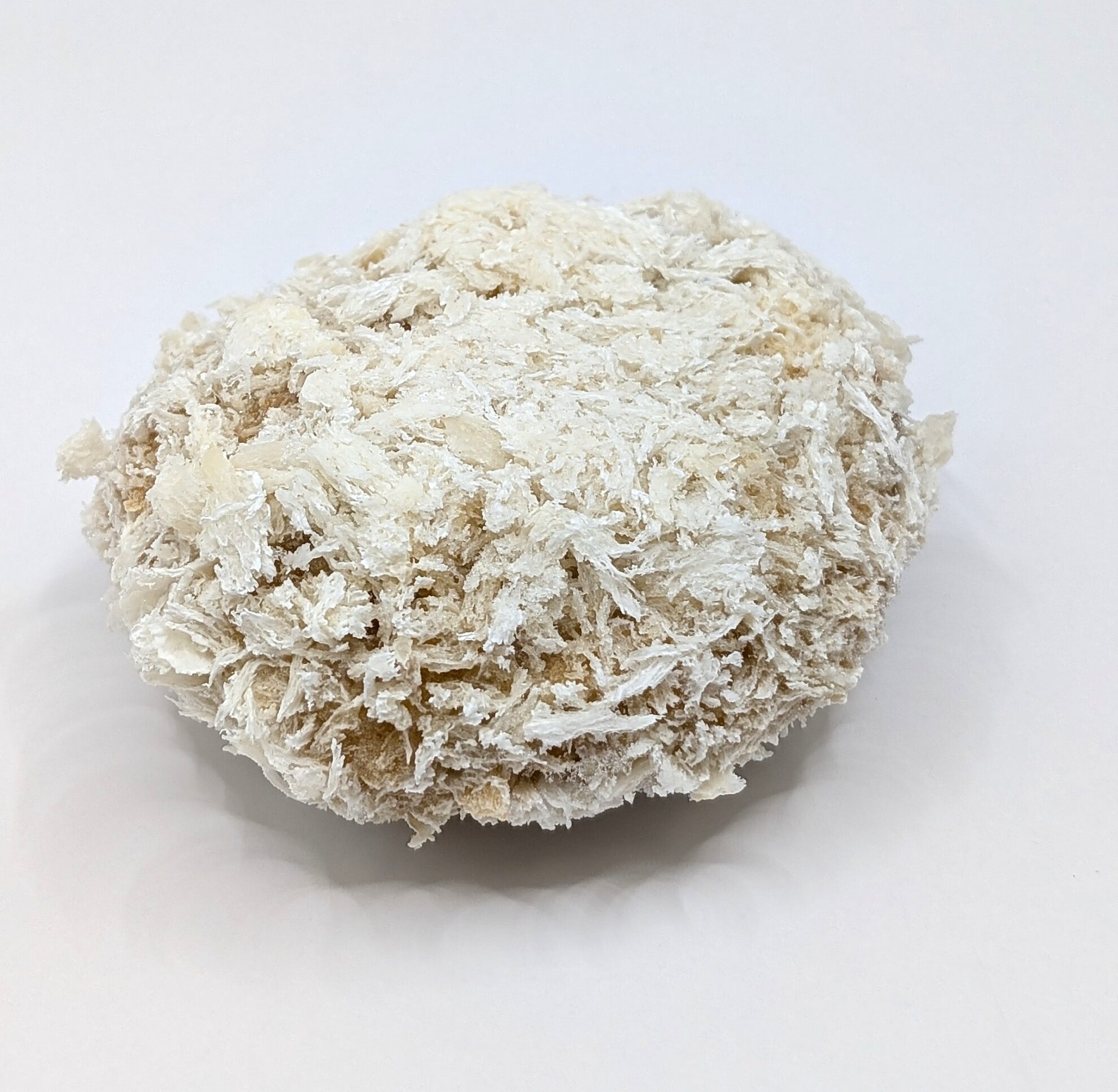 PXL_20260415_114652568.PORTRAIT.ORIGINAL